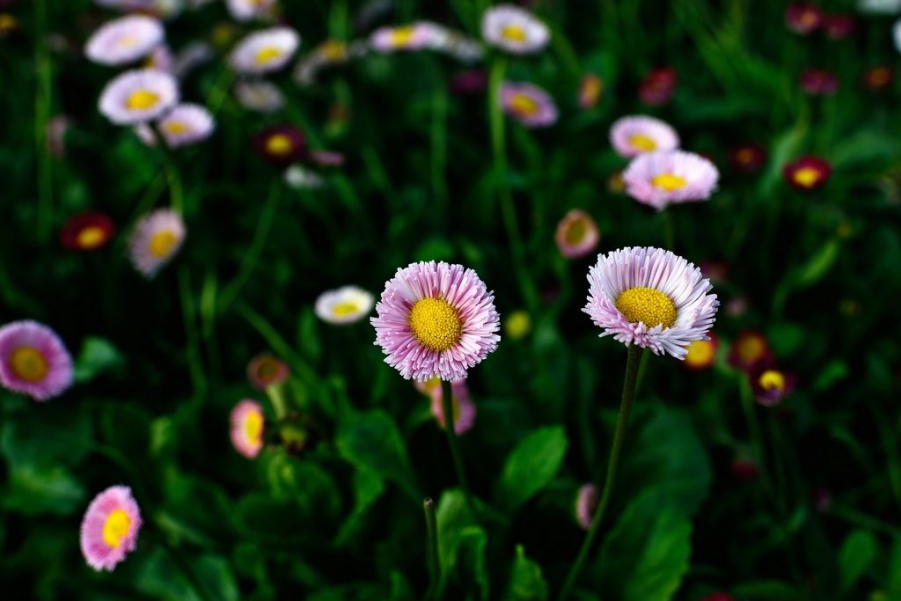 DSC_3268.jpg