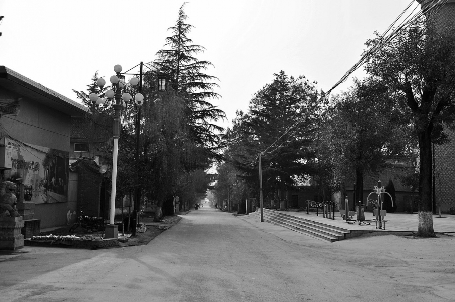 DSC_4560.JPG