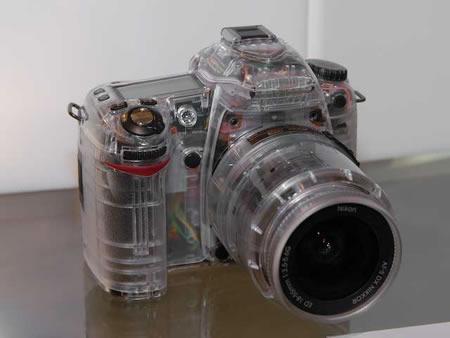 12982116516141[2].jpg