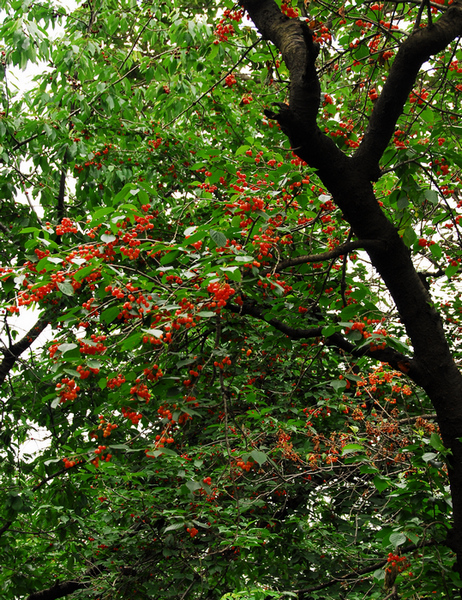 DSC_0041.JPG