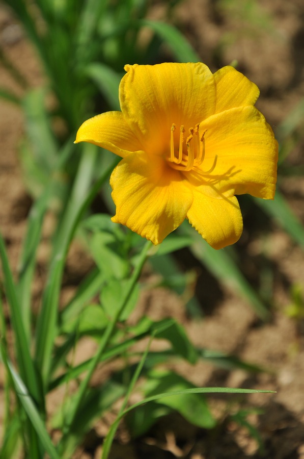 DSC_8079.JPG