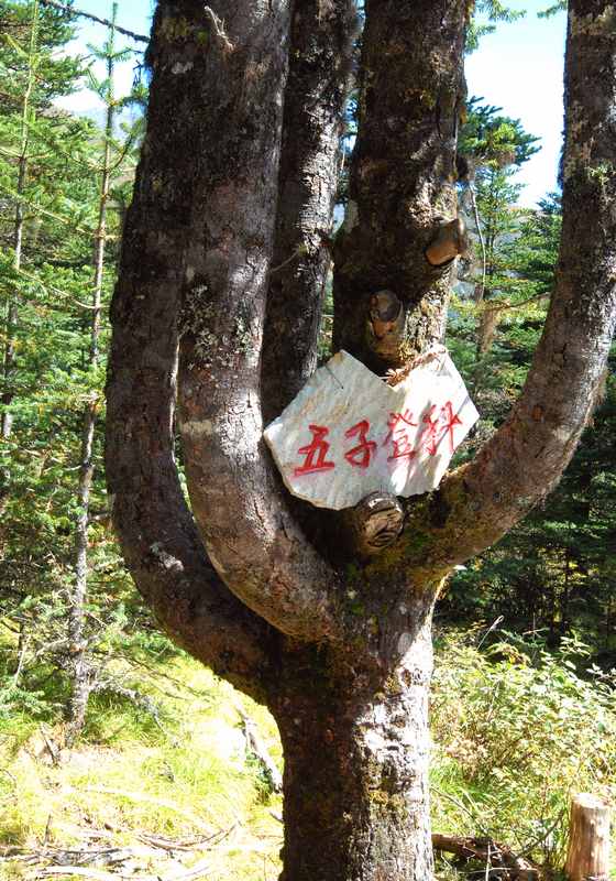 DSC_0267.JPG