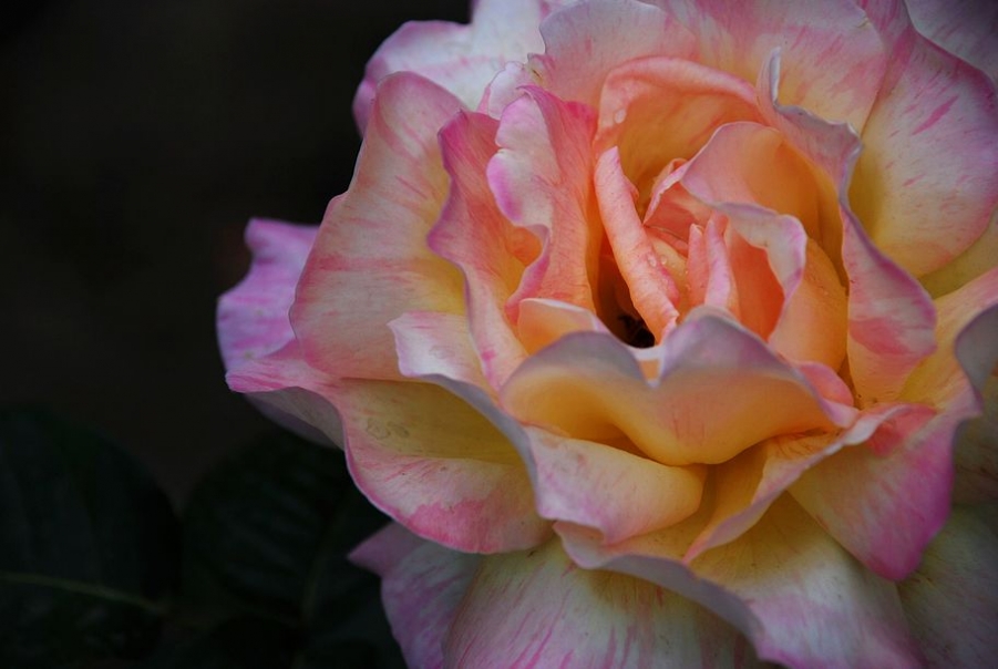 DSC_0072.JPG