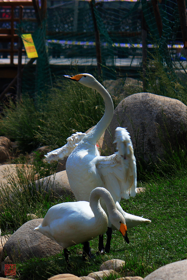 IMG_2347.jpg