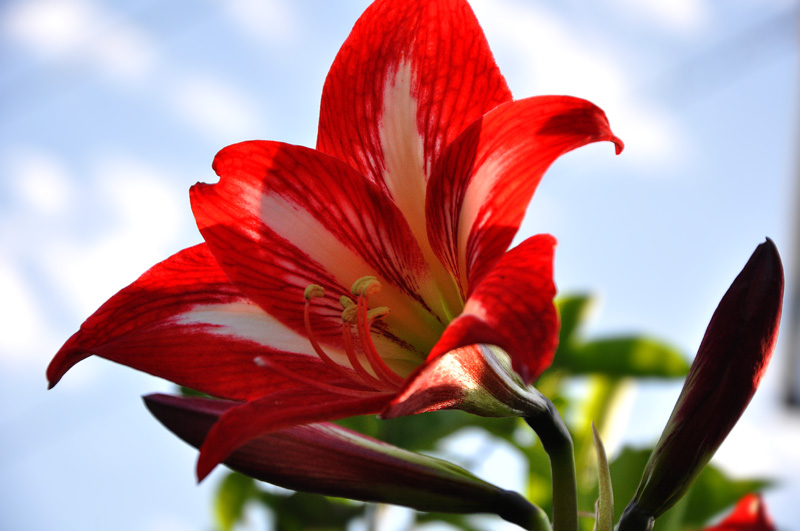 DSC_0057 复制.jpg
