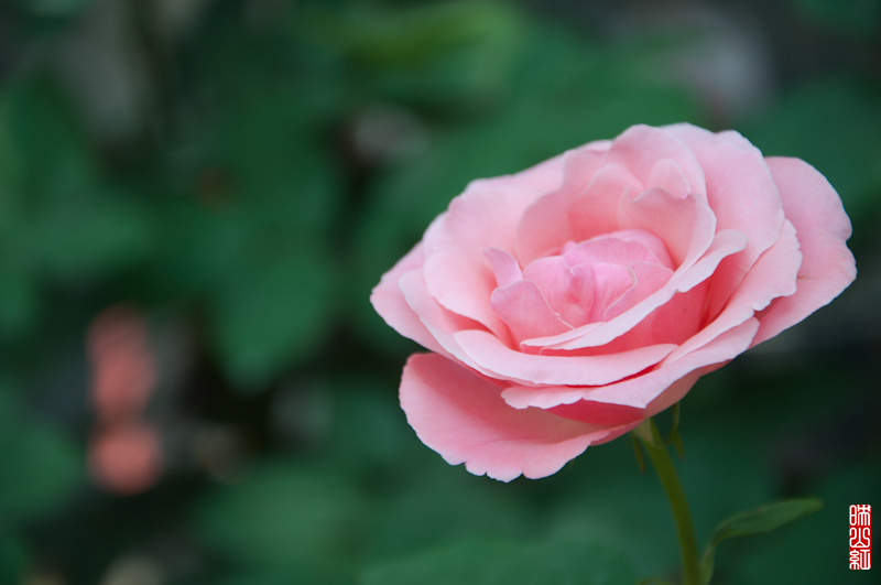 DSC_1649.jpg