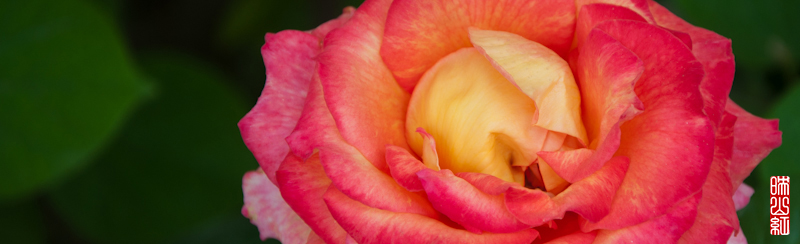 DSC_1762.jpg