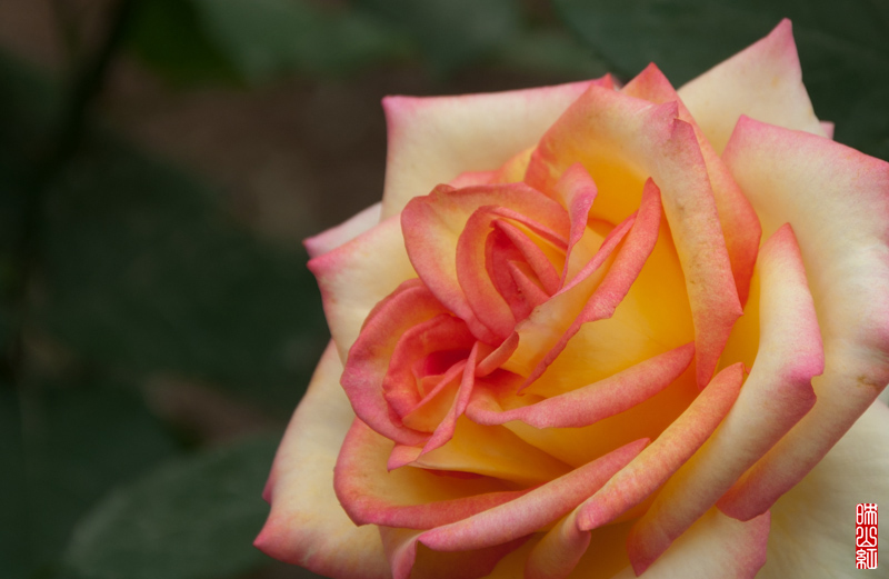 DSC_1765.jpg