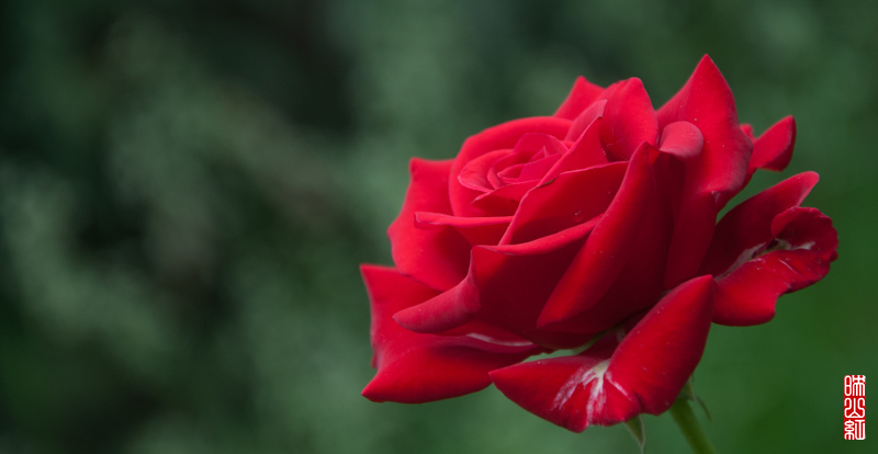 DSC_1865.jpg