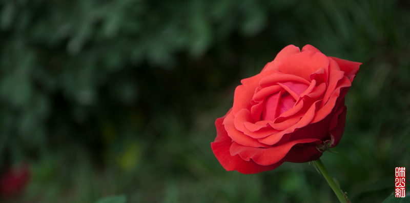 DSC_1885.jpg