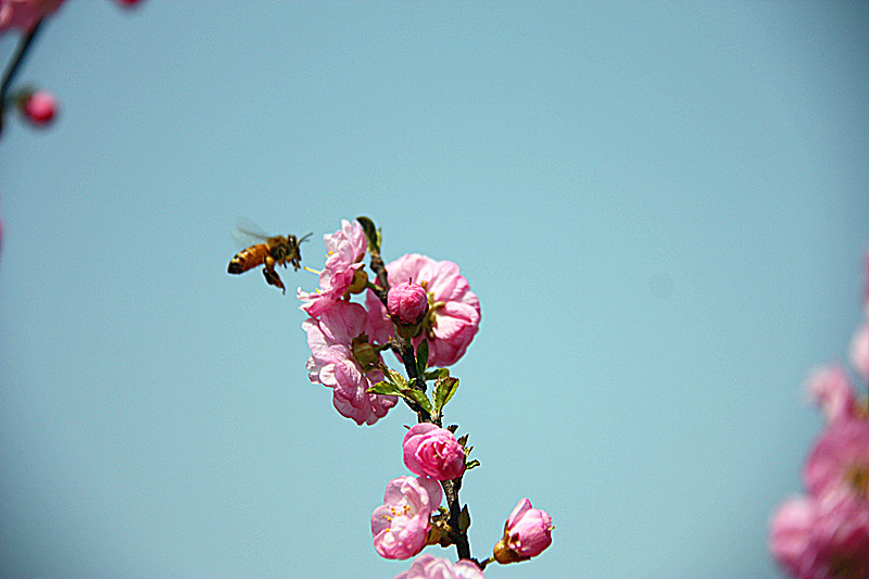 IMG_5339_副本.jpg