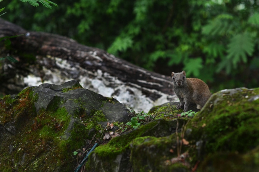 DSC_0907.jpg