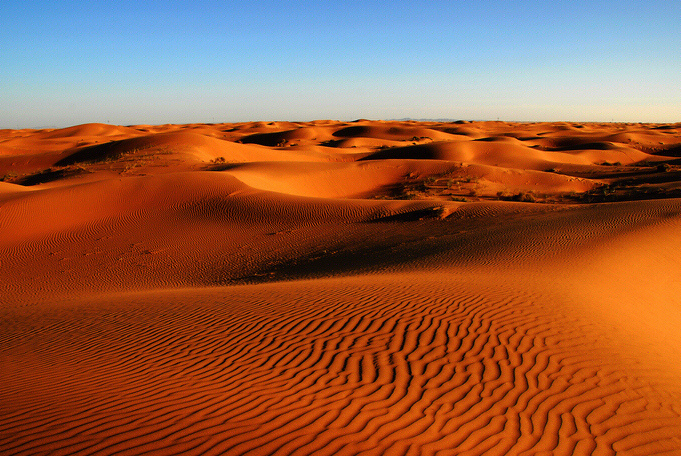 DSC_0608.JPG