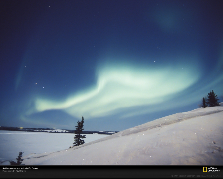 加拿大耶洛奈夫  作者  Paul Nicklen.jpg