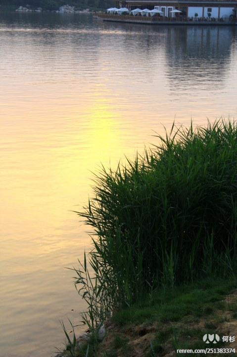 large_gBTd_5125000006301260.jpg