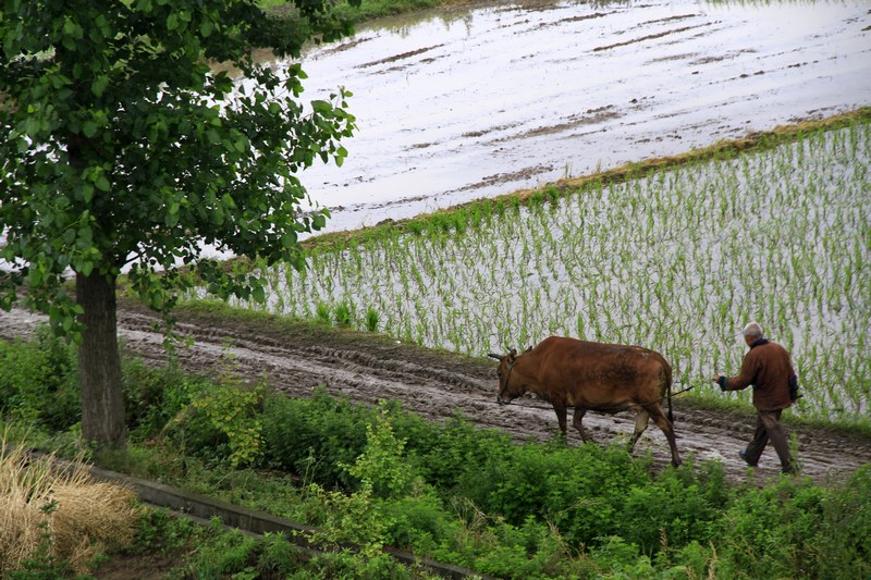 _MG_4671.jpg