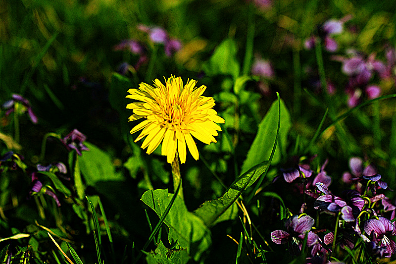 IMG_5800_副本.jpg