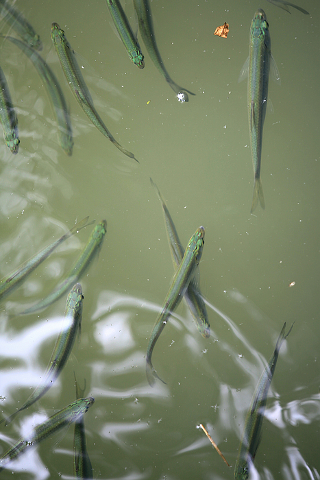 西溪湿地04.jpg