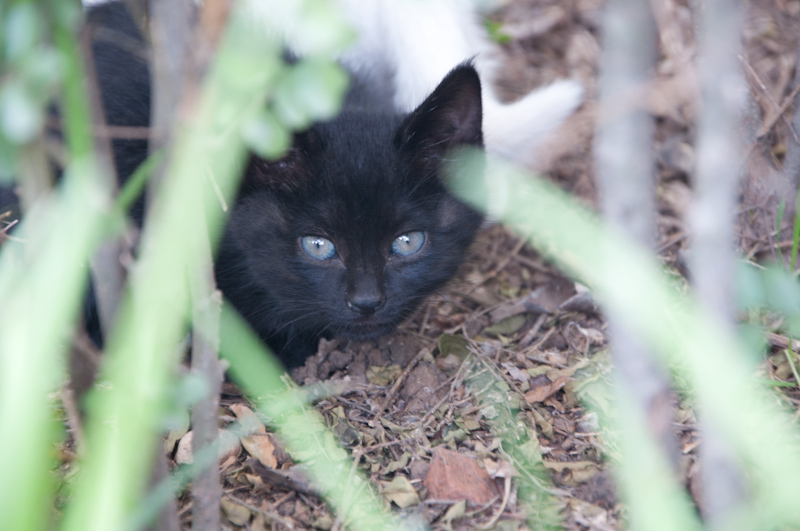 DSC_2971.jpg