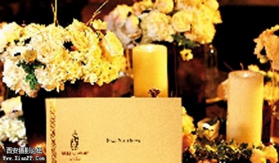 dibai04-560x327.jpg