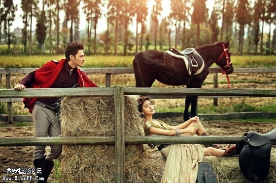 mc008-560x373.jpg