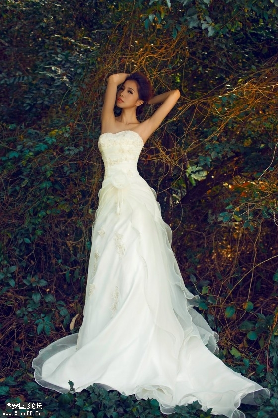 lin002-560x840.jpg