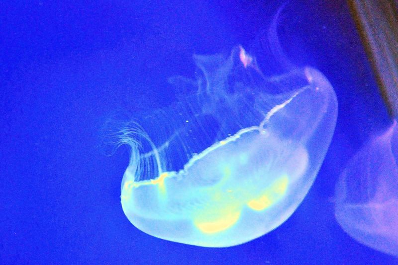 _DSC1114_副本.JPG