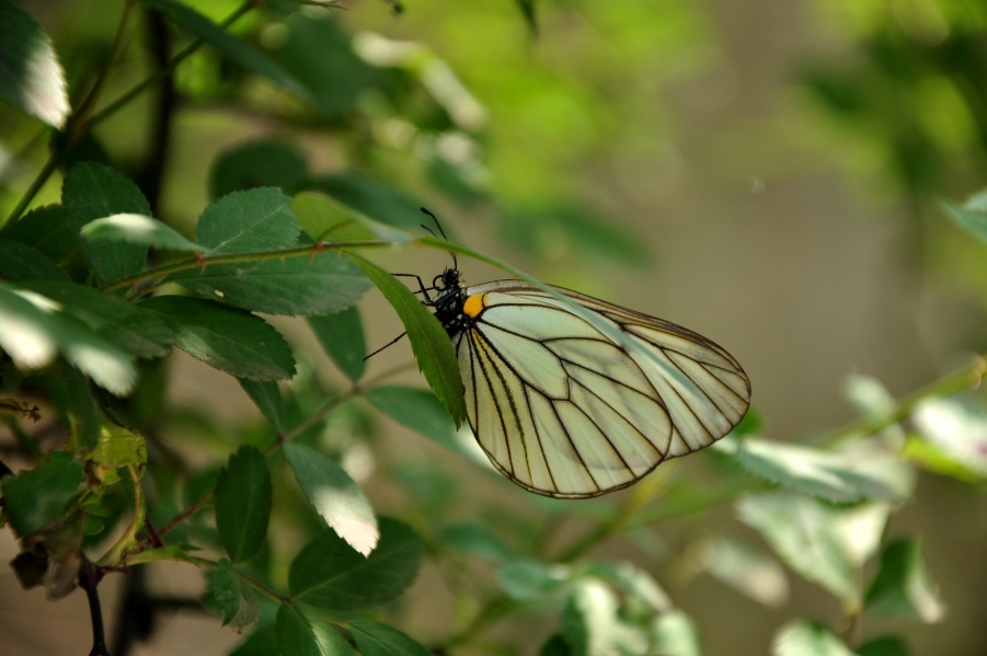 DSC_0313.JPG