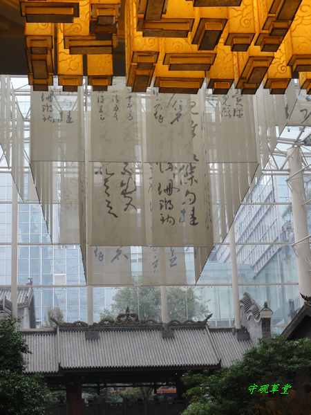 DSC00885.jpg