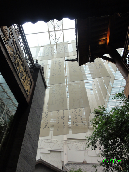 DSC00873.jpg