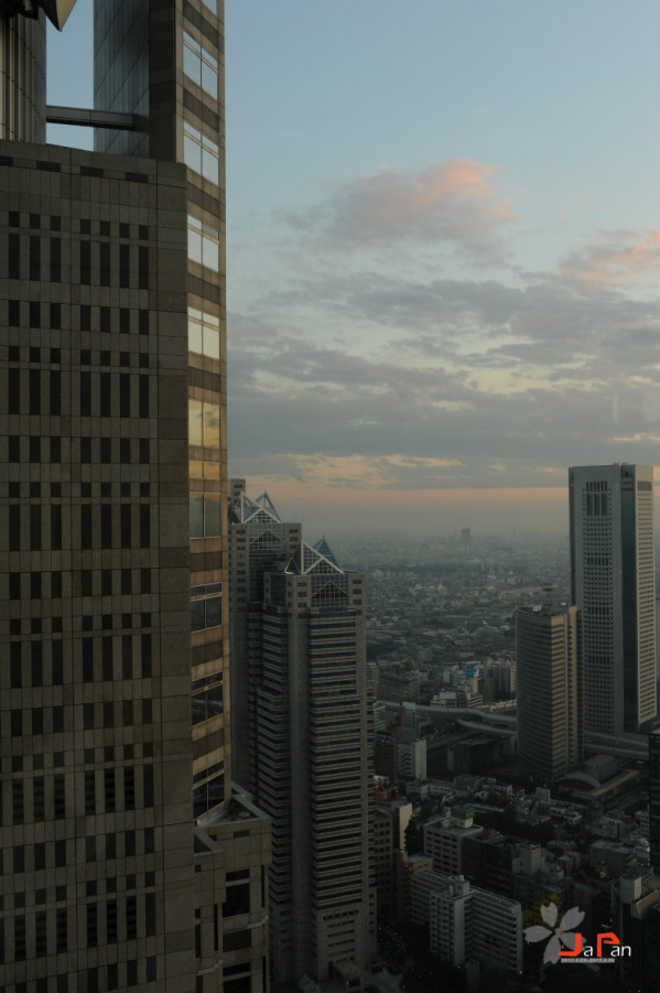 2627628_814882439_rotate.jpg