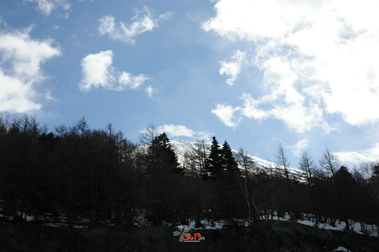 2627628_815238177_rotate.jpg