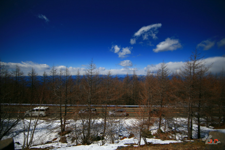 2627628_815238516_rotate.jpg