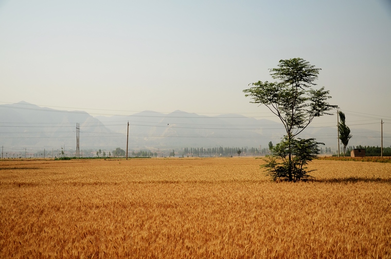 DSC_9420.jpg