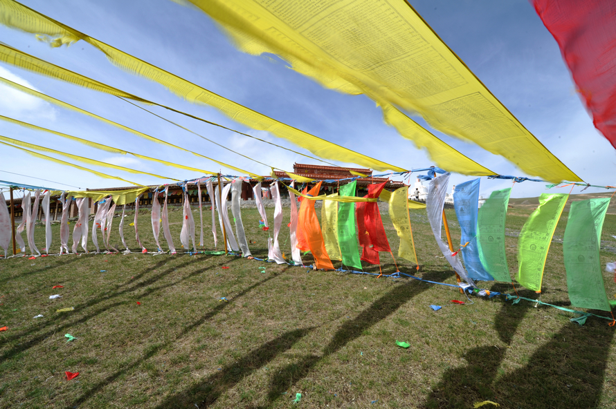 1DSC_1614.jpg