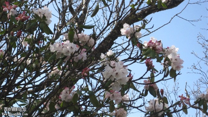 照片 001.jpg