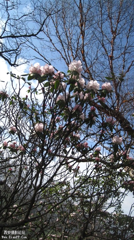 照片 004.jpg