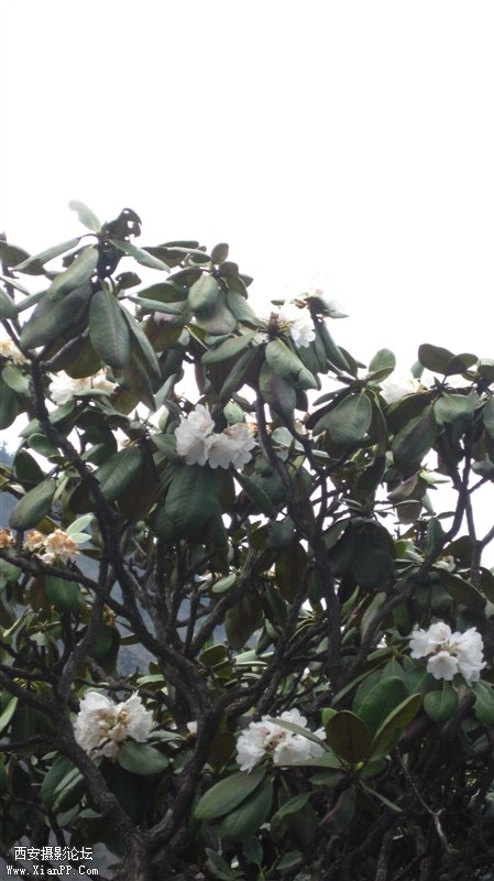 照片 019.jpg