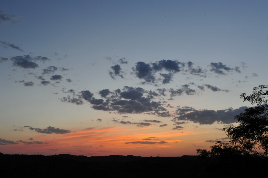 DSC_7840.jpg