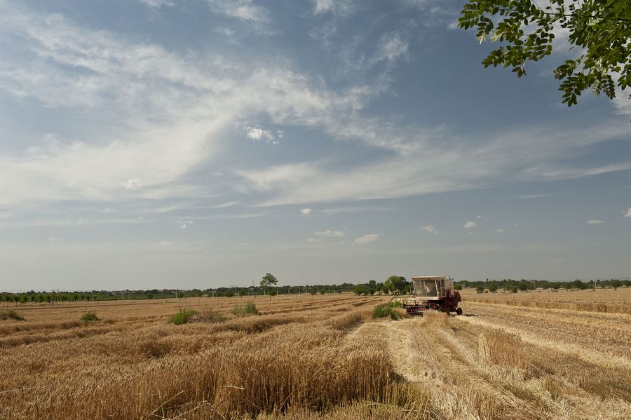 DSC_6899.jpg