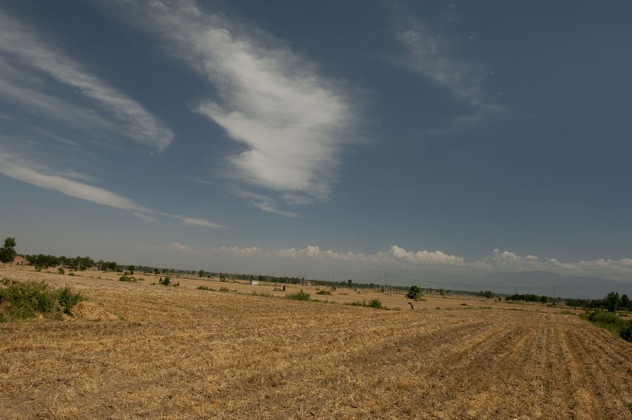 DSC_6873.jpg