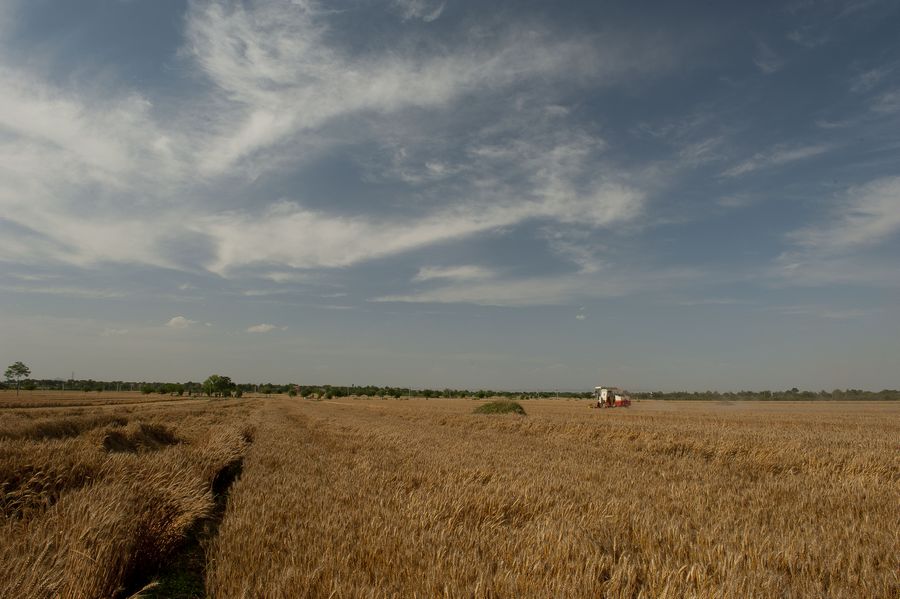 DSC_6919.jpg