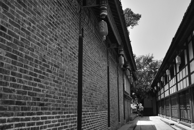 DSC_3776_副本.jpg