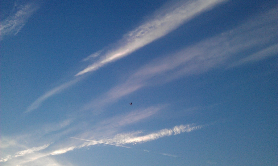 IMG_20120609_193620.jpg