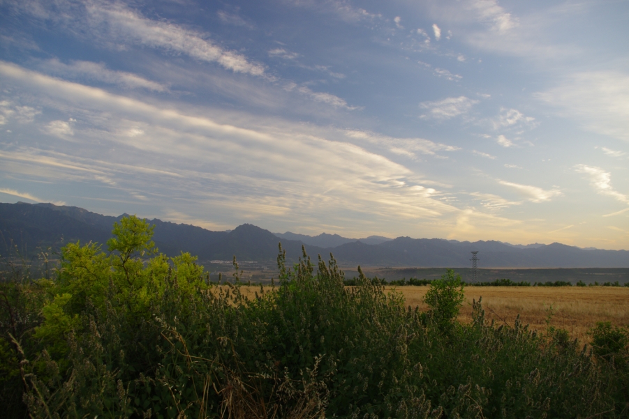IMGP2653.JPG