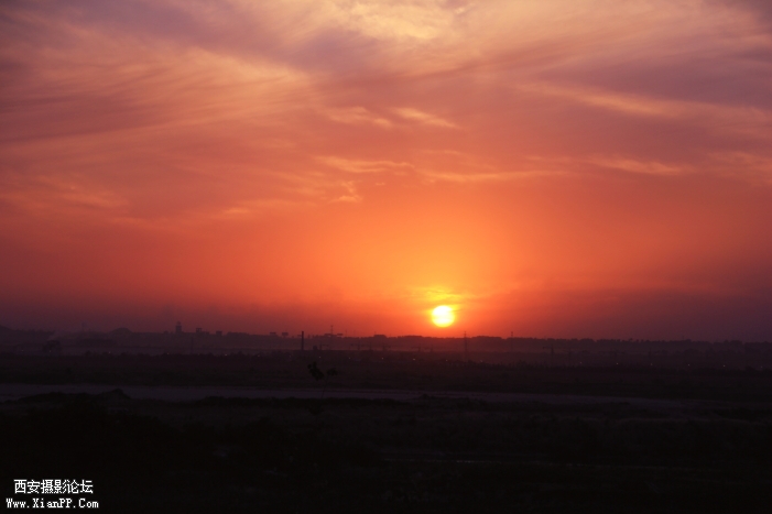 DPP_011887.JPG