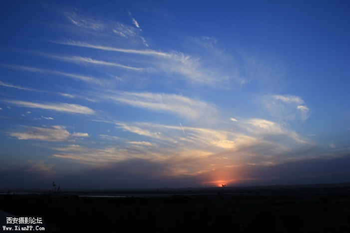 DPP_011889.JPG