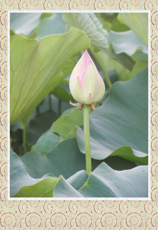 照片 052.jpg