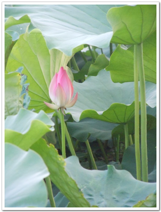 照片 058.jpg