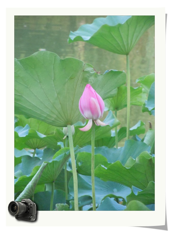 照片 067.jpg